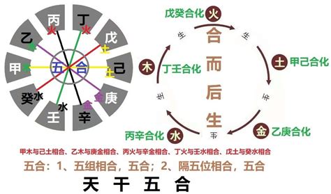 壬水丁火|天干五合：丁壬合